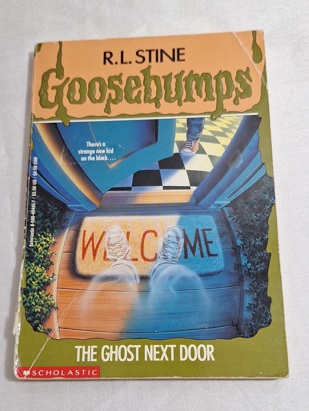 The Ghost Next Door - Goosebumps Book